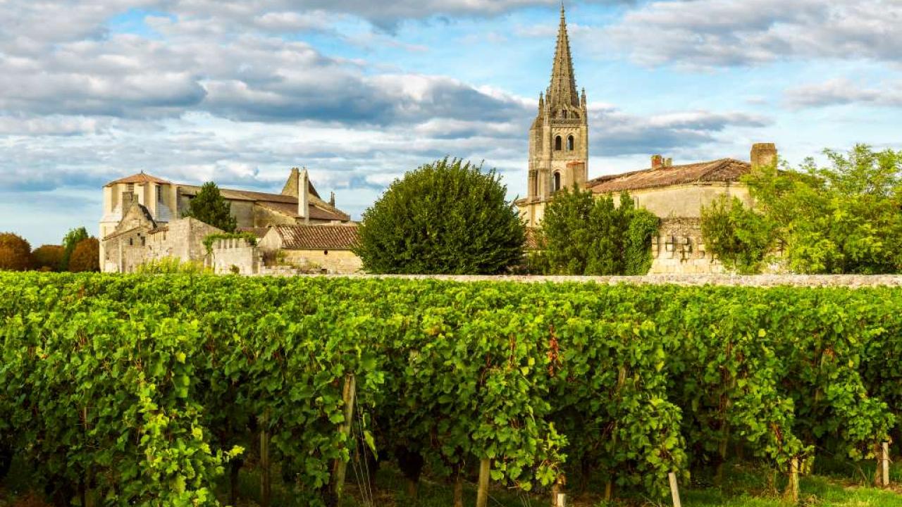 Early Releases from the 2019 En Primeur Bordeaux Campaign