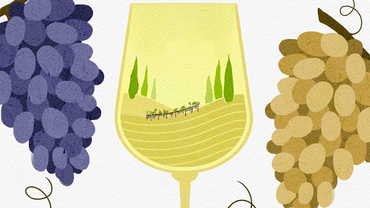 varietal-white
