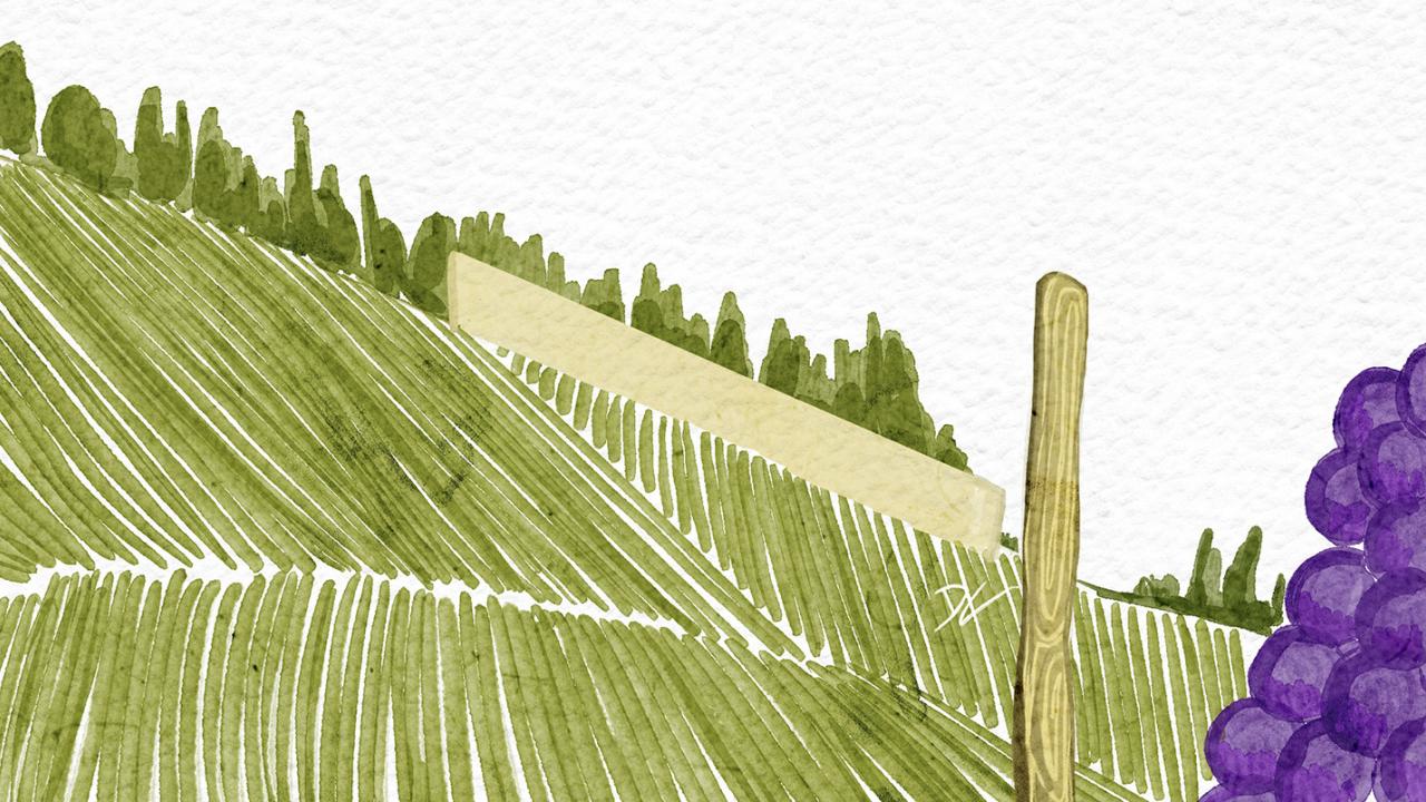 Illustration of Paul Jaboulet Aîné