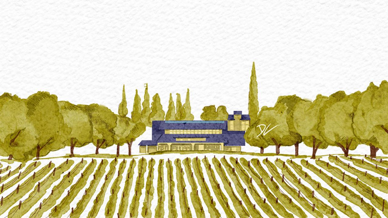 Illustration of Joseph Phelps Vineyards