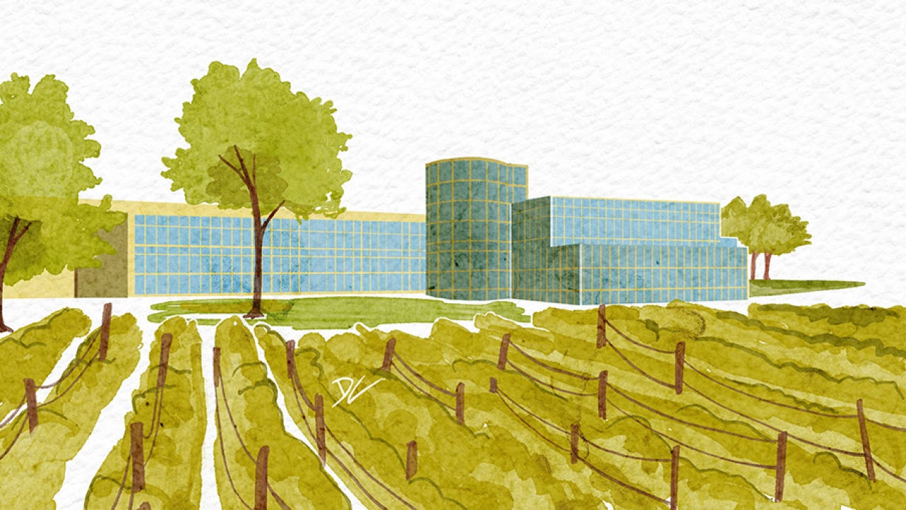 Lynch Bages