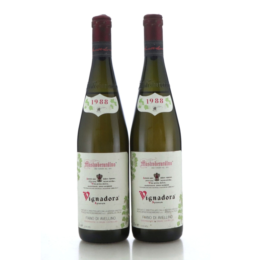 Image for Mastroberardino Vignadora 1988 x 2