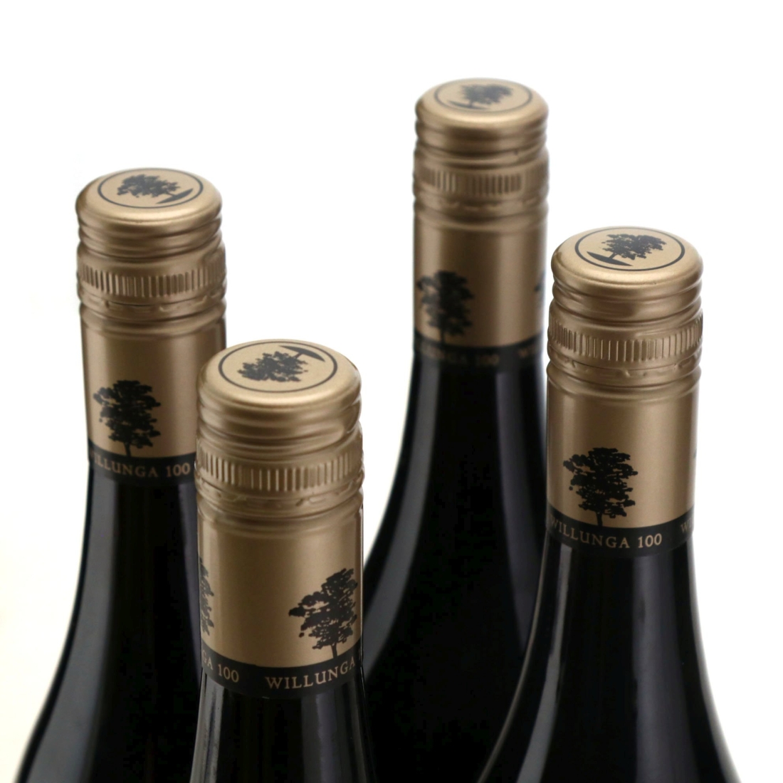 Image for Willunga 100 Shiraz Viognier 2016 x 4