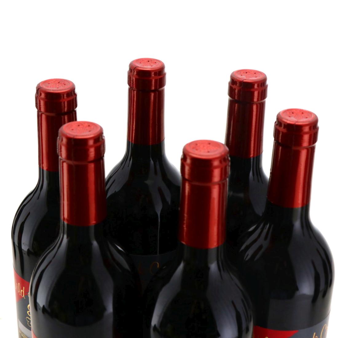 Image for Wild Duck Creek Springflat Shiraz 2003 x 12