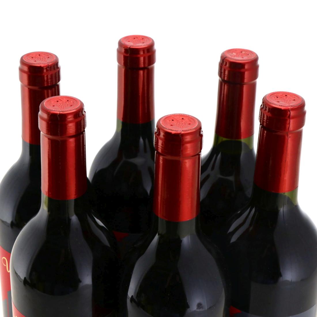 Image for Wild Duck Creek Springflat Shiraz 2003 x 12