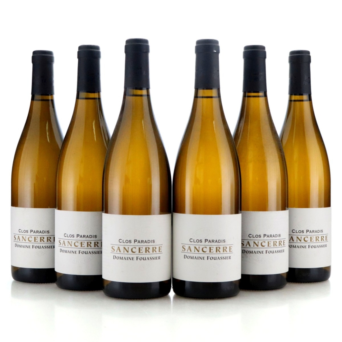Image for Domaine Fouassier Clos Paradis 2016 x 6