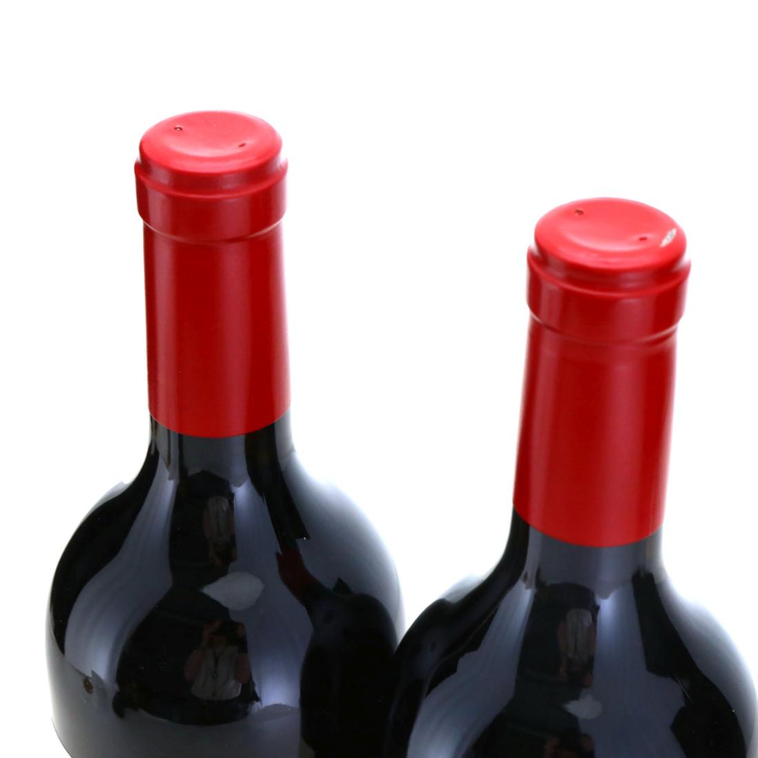 Image for Two Hands Coach House Block Shiraz 2007 x 2