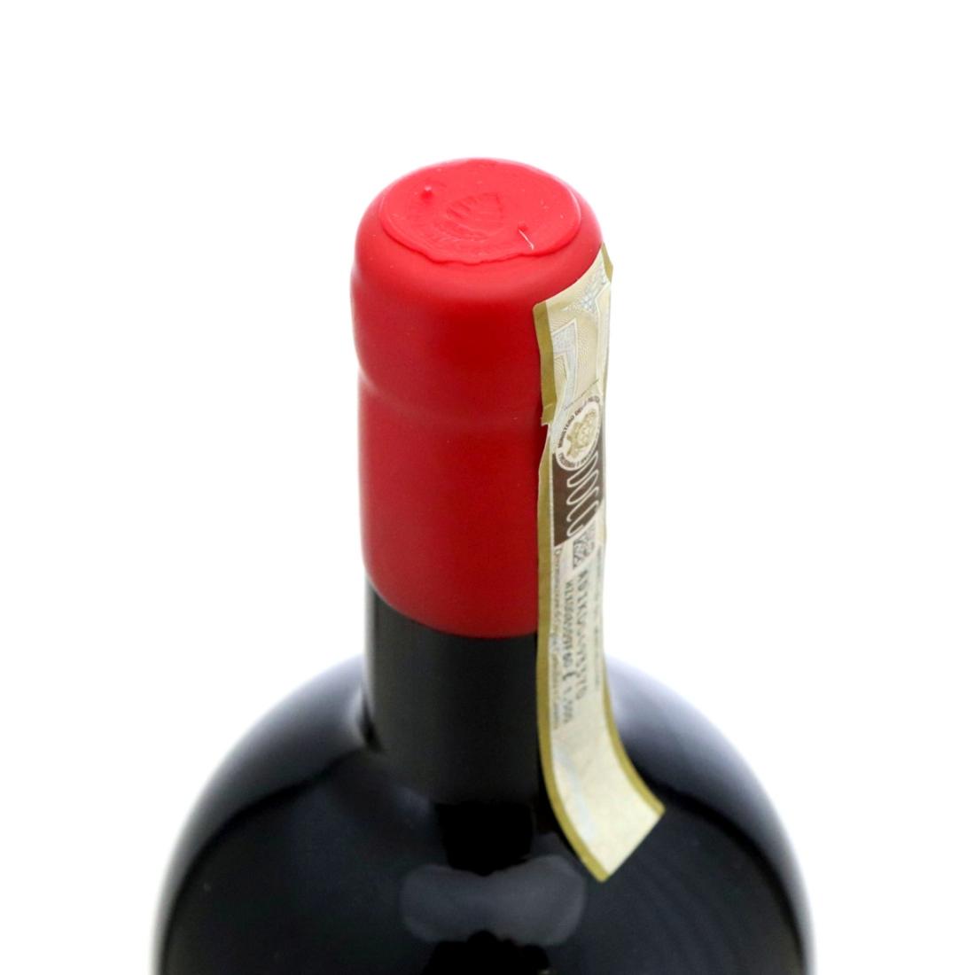 Image for Stella di Campalto Corso 2019