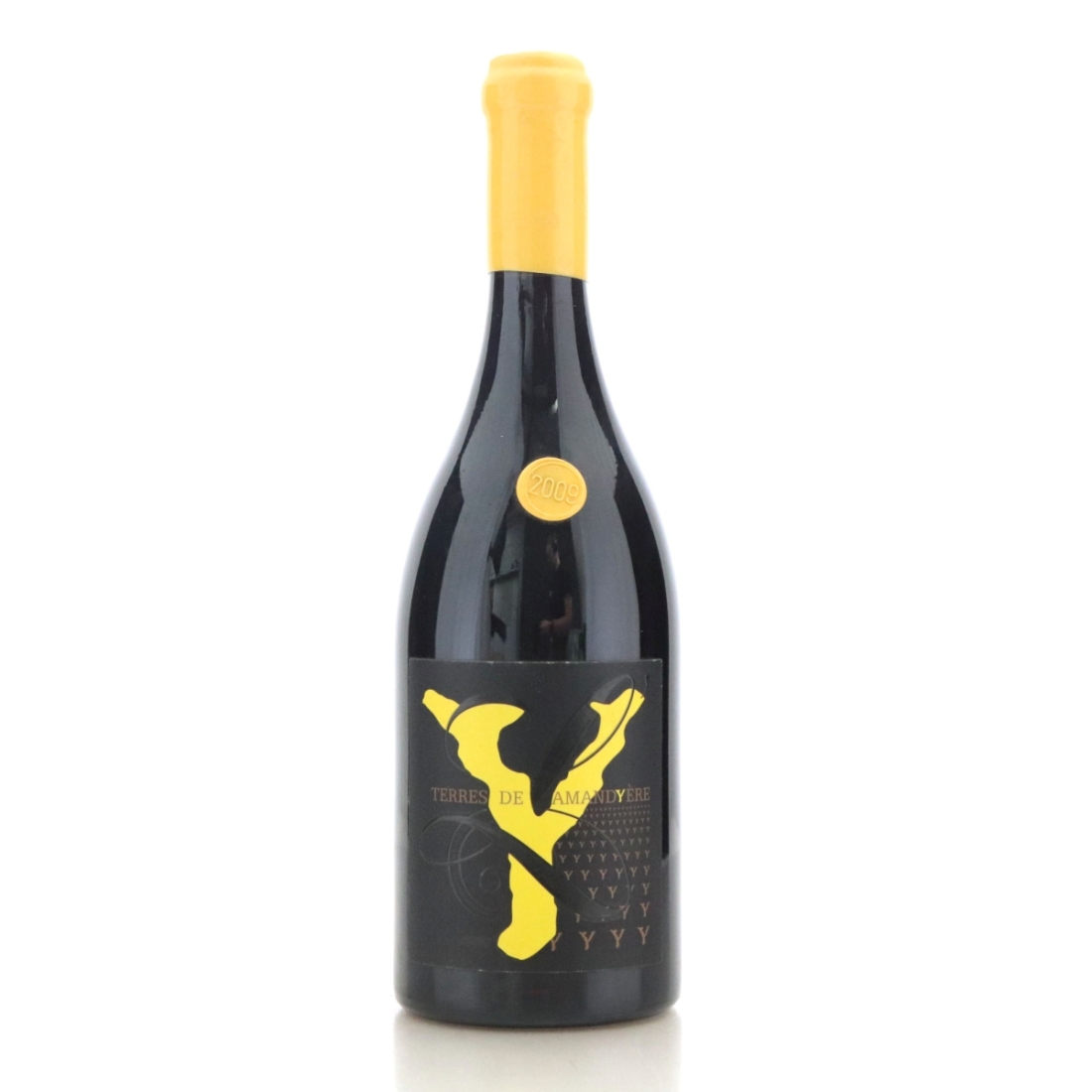 Image for Terres de l'Amandyère Carignan 2009