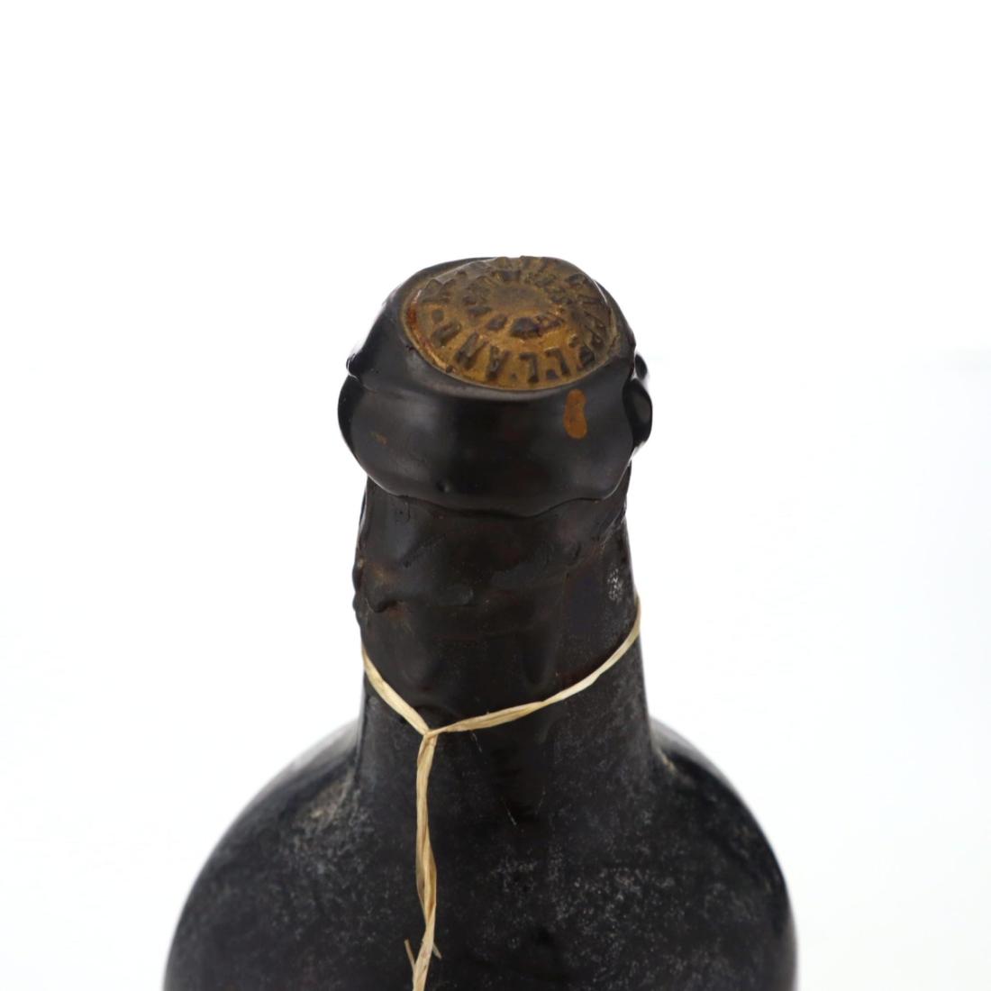 Image for Cappellano 1966