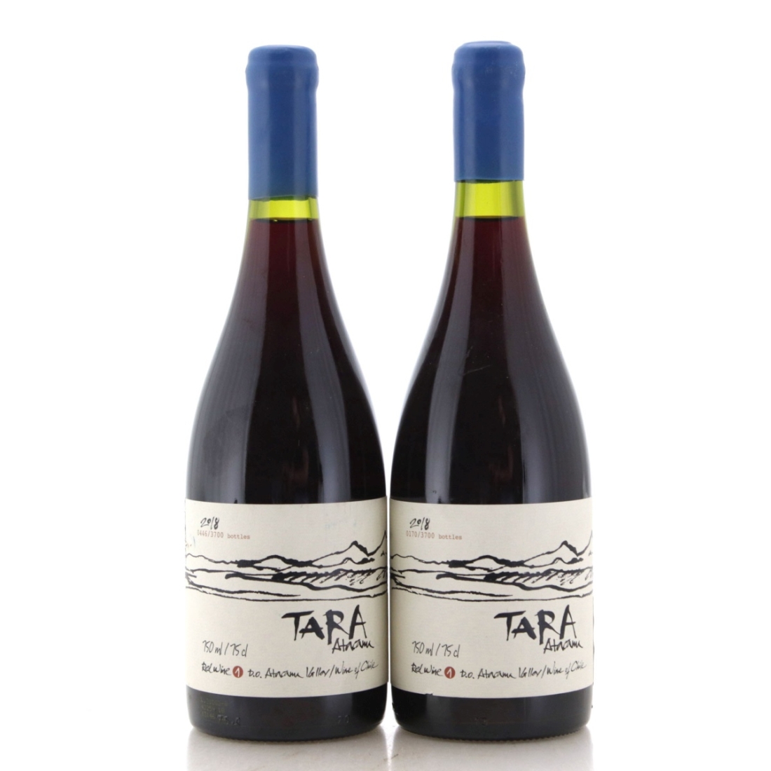Image for Ventisquero Tara Atacama Red Wine N°1 2018 x 2