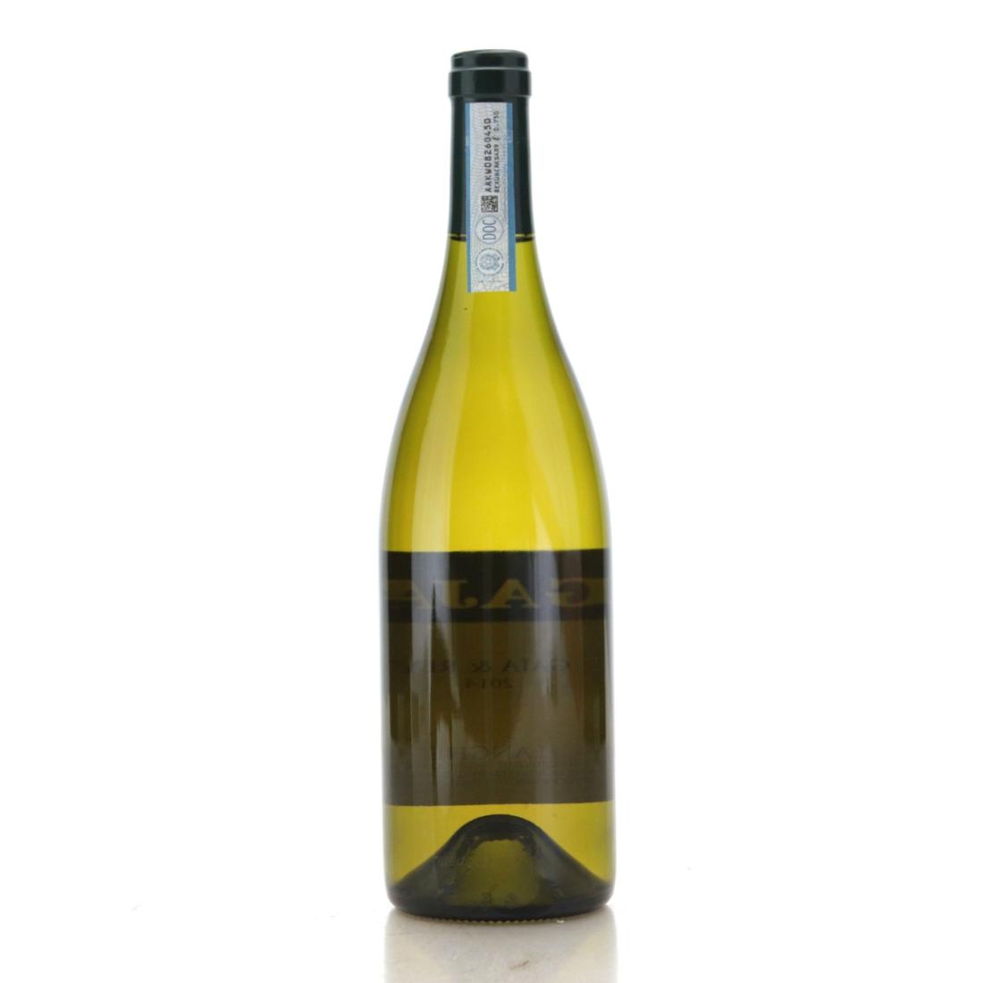 Image for Gaja Gaia & Rey 2013