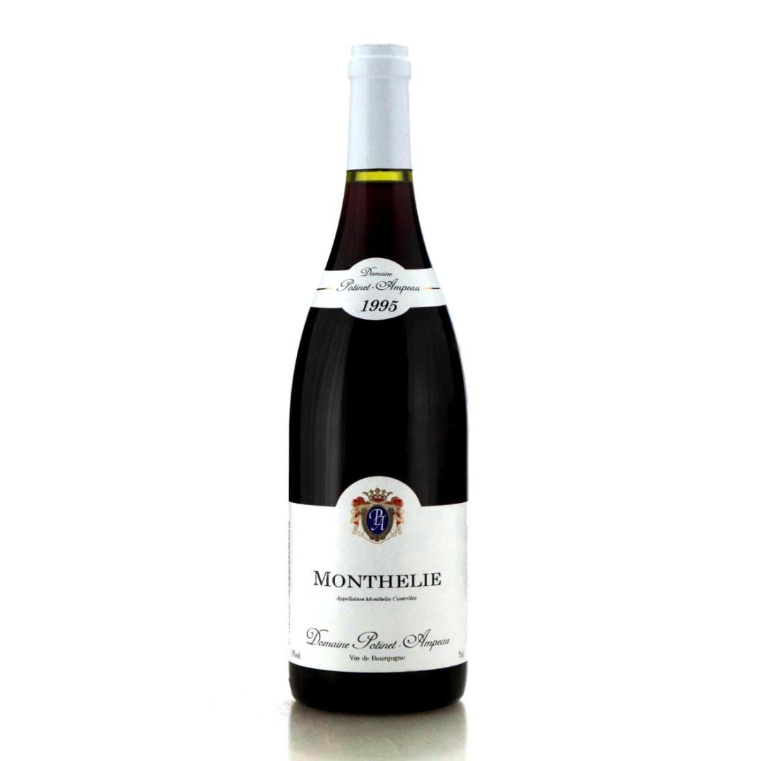 Image for Domaine Potinet-Ampeau 1995