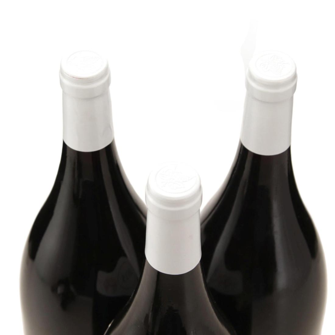 Image for Domaine Michel Prunier & Fille 2015 x 3 / Magnum