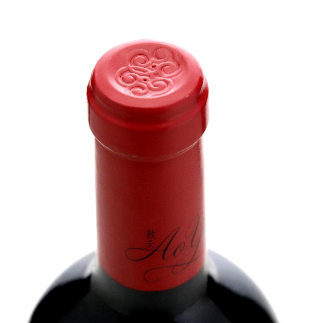 Image for Ao Yun 2013