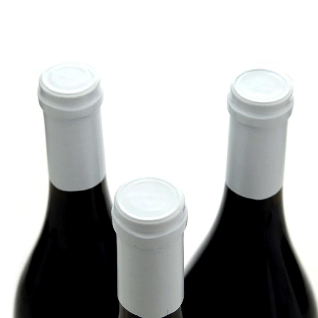 Image for Domaine Bizot 2010 x 3
