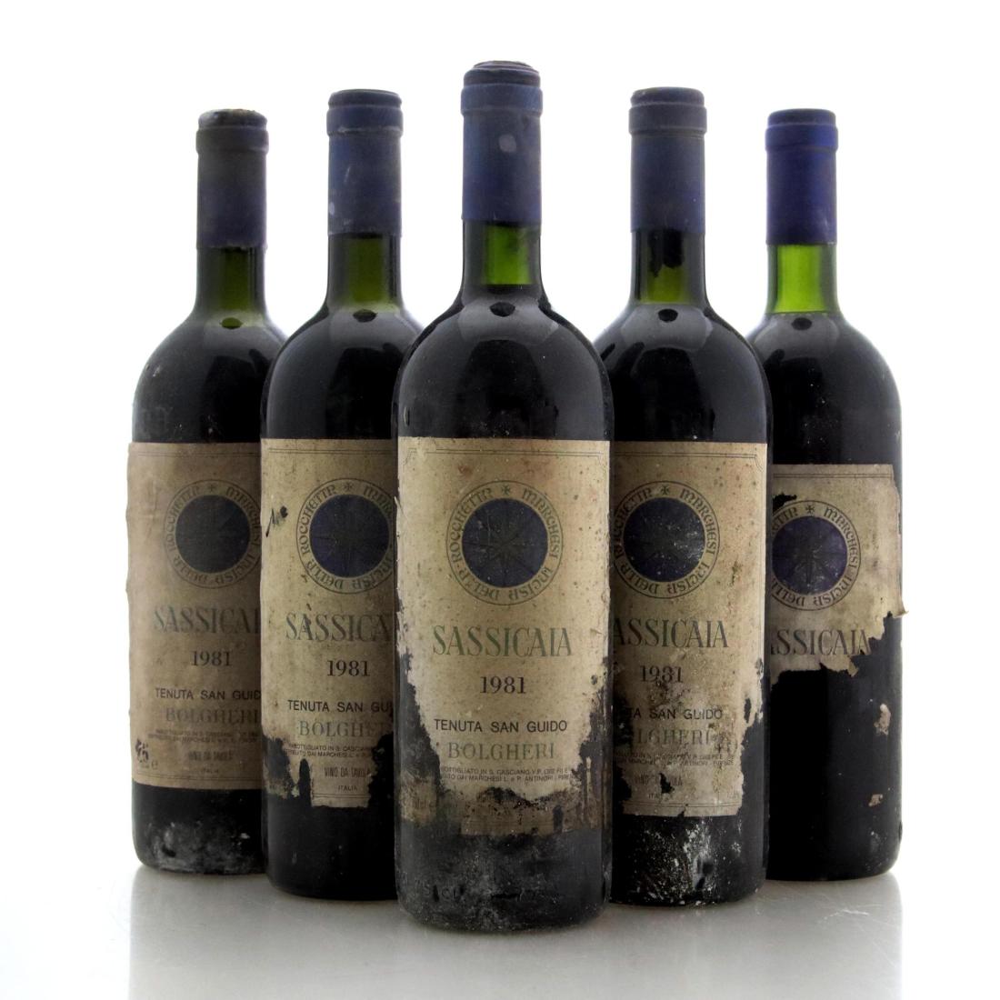 Image for Tenuta San Guido Sassicaia 1981 x 5