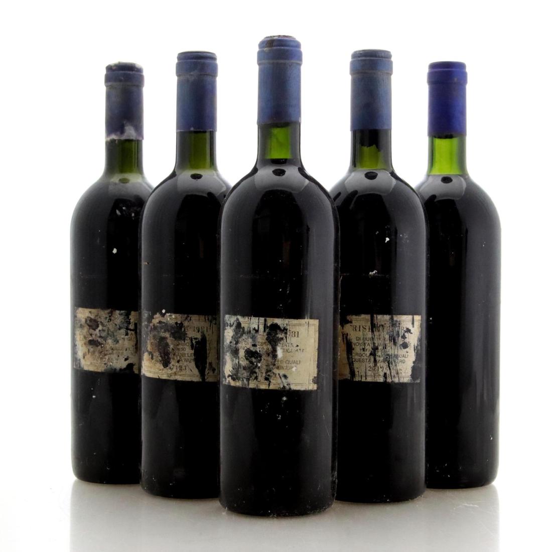 Image for Tenuta San Guido Sassicaia 1981 x 5