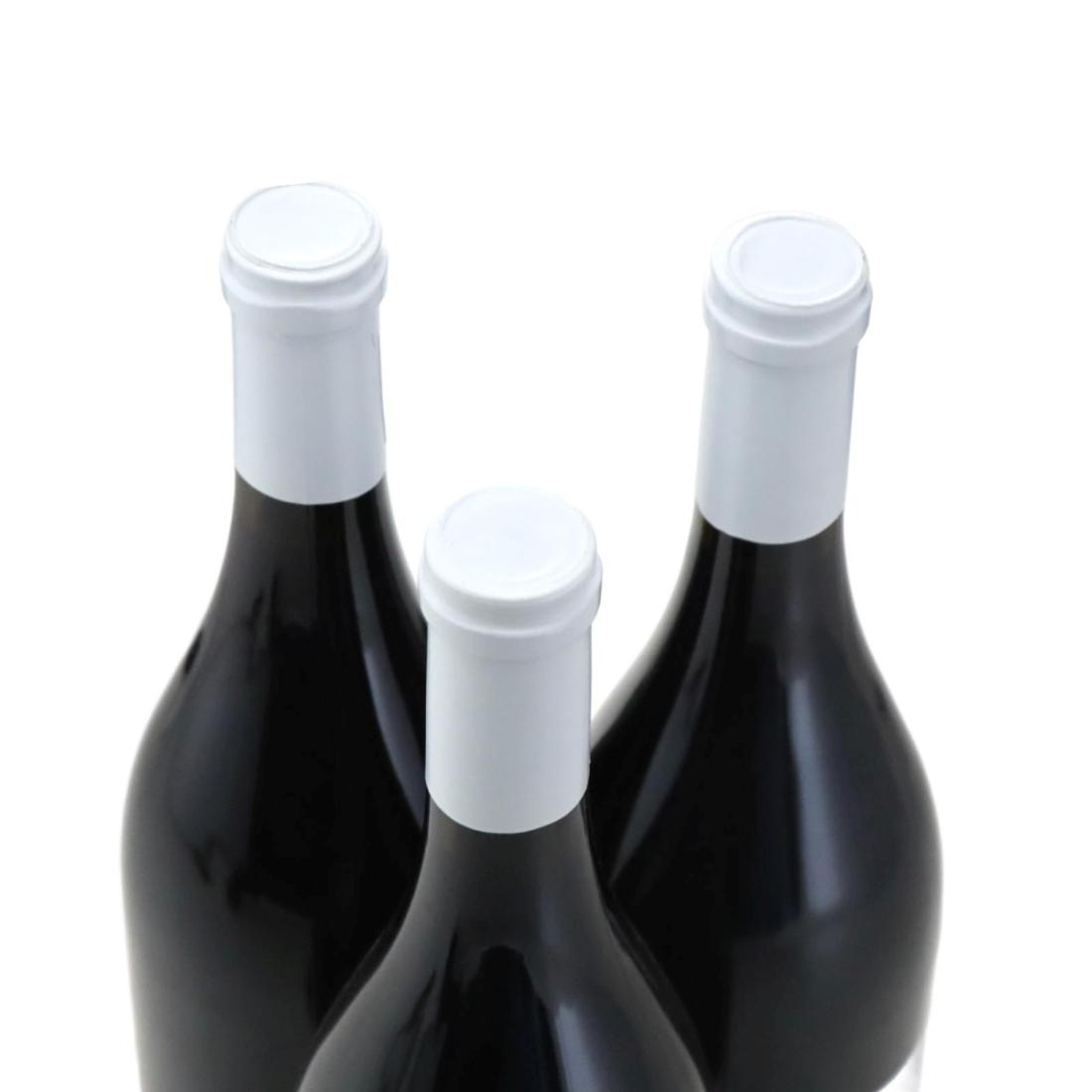 Image for Domaine Bizot Les Jachées 2010 x 3