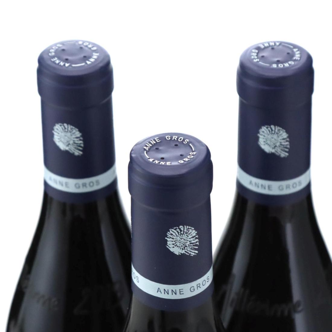 Image for Domaine Anne Gros Les Loachausses 2019 x 3