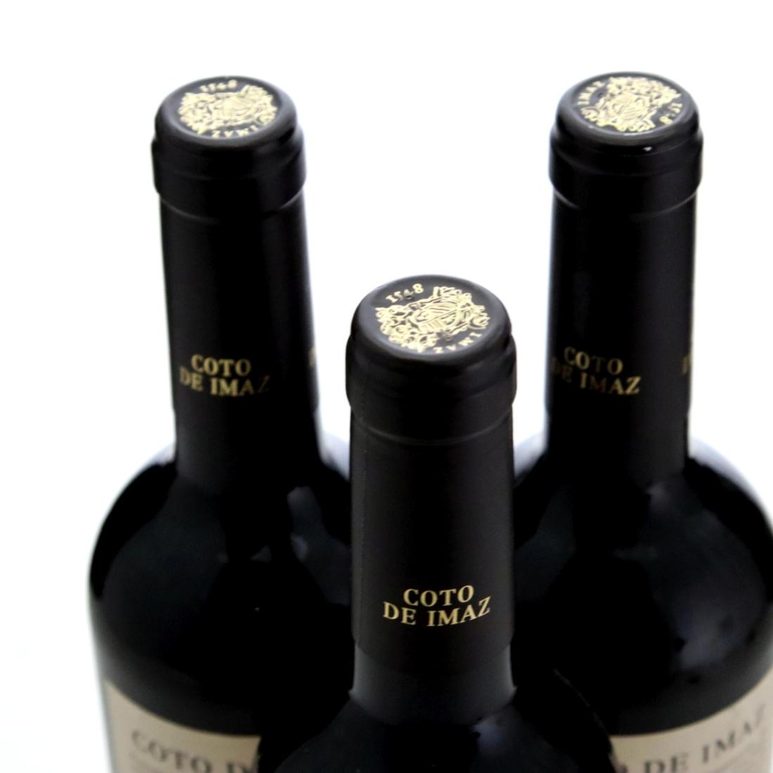 Image for El Coto de Rioja Coto De Imaz 2012 x 3