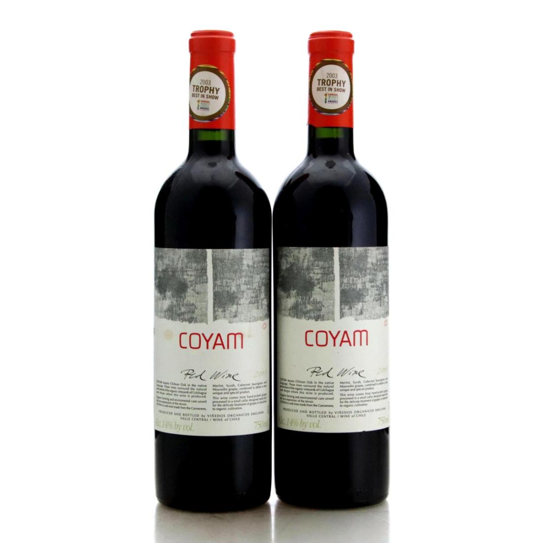 Image for Viñedos Organicos Emiliana Coyam 2001 x 2