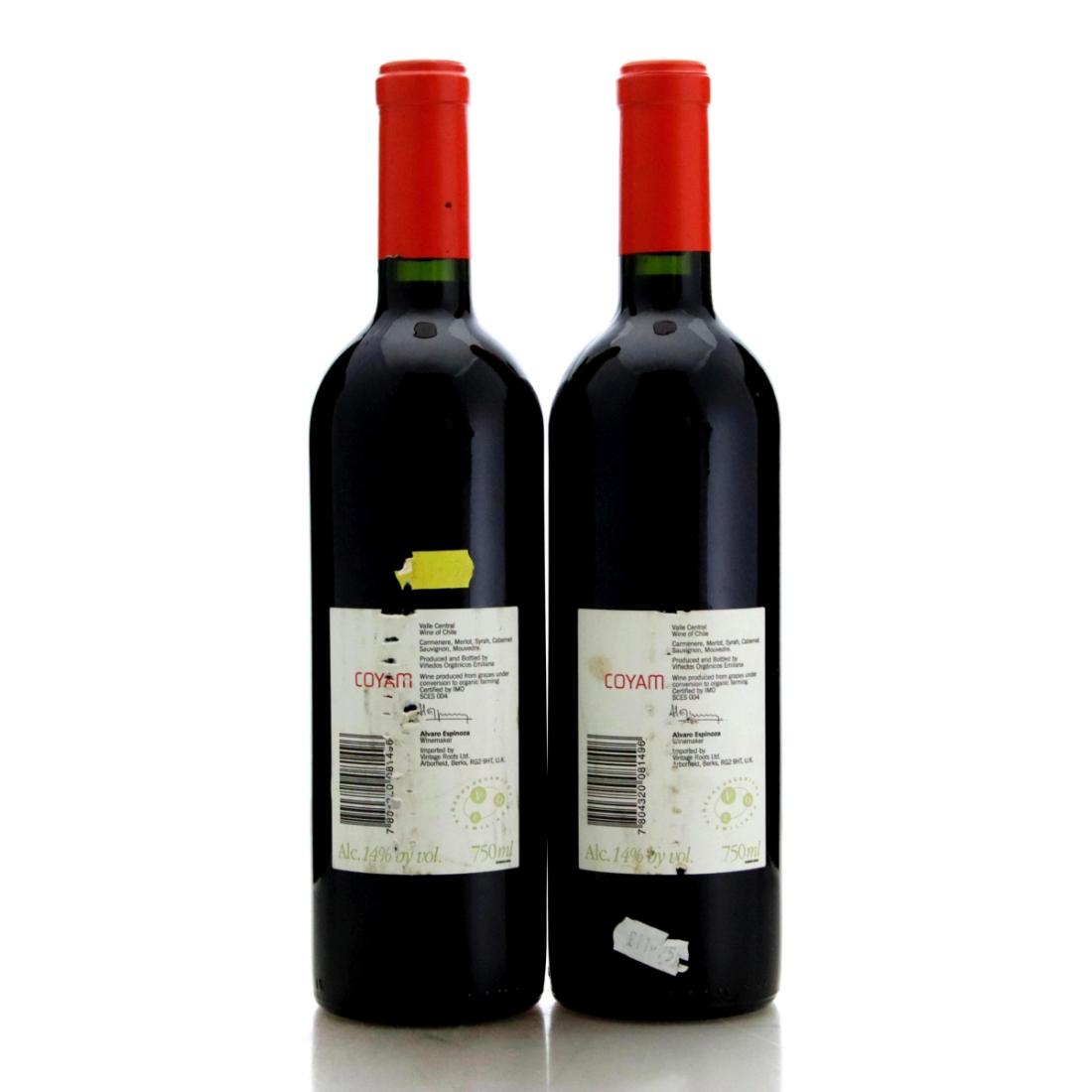 Image for Viñedos Organicos Emiliana Coyam 2001 x 2