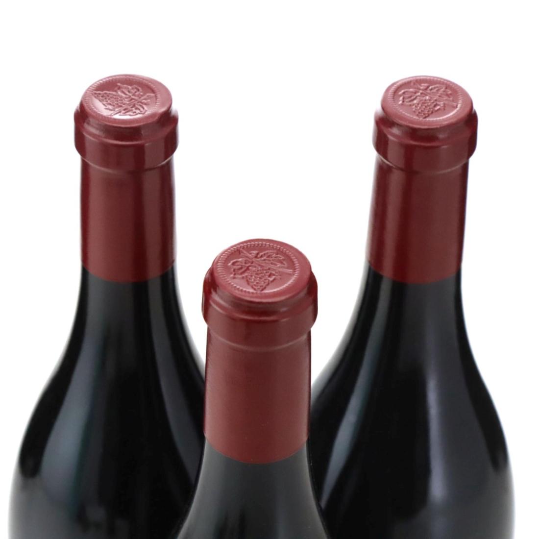 Image for Domaine Sylvain Cathiard Aux Reignots 2009 x 3