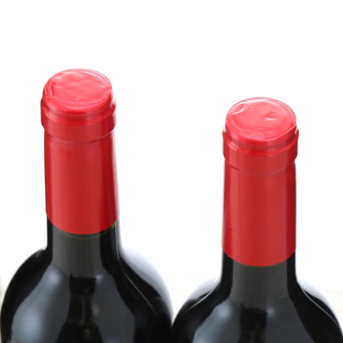 Seleccion Especial Numerada 61 'Parcela 5169' Reserva Tempranillo 2014 x 2