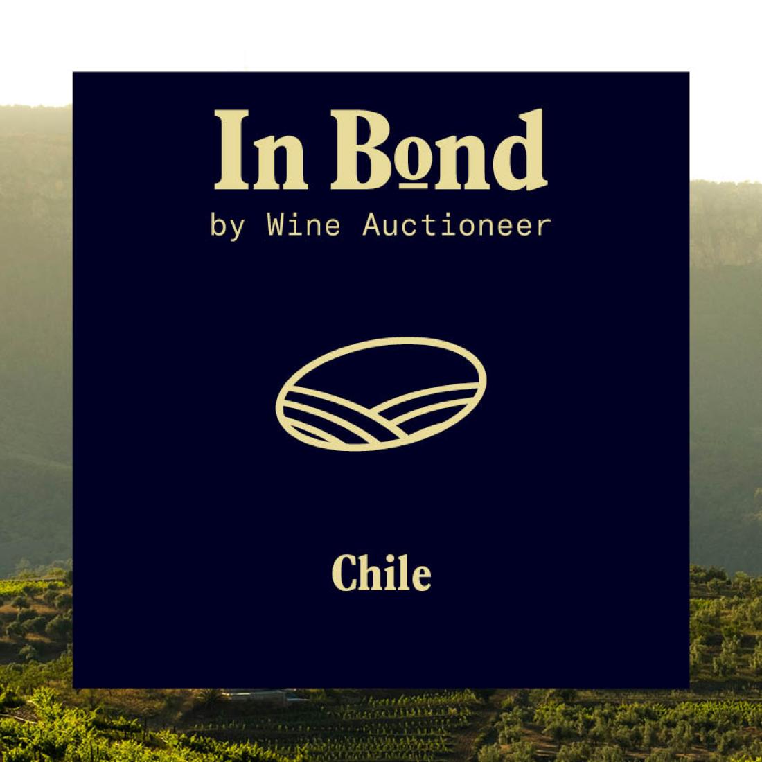 Bodegas Tagua Tagua Elementos 2021 Case