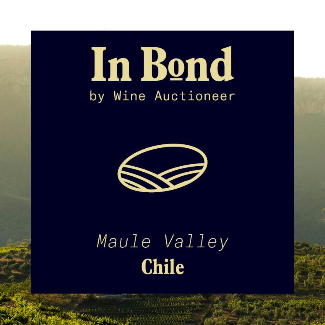 Bodegas Tagua Tagua Elementos Icon 2021 Case 