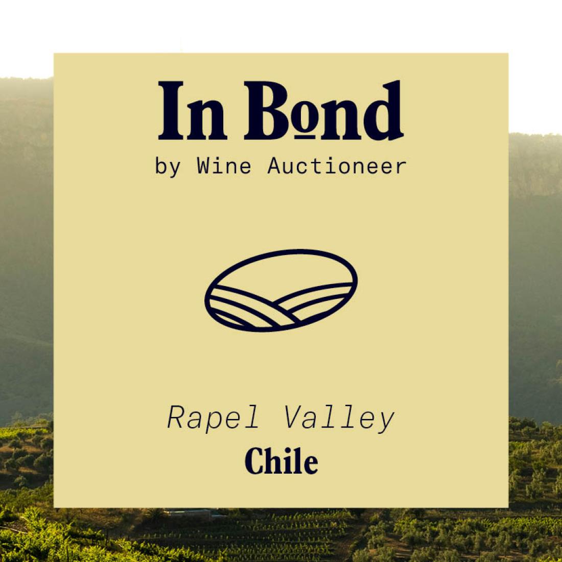 Bodegas Tagua Tagua Elementos Limited Edition 2021 Case 