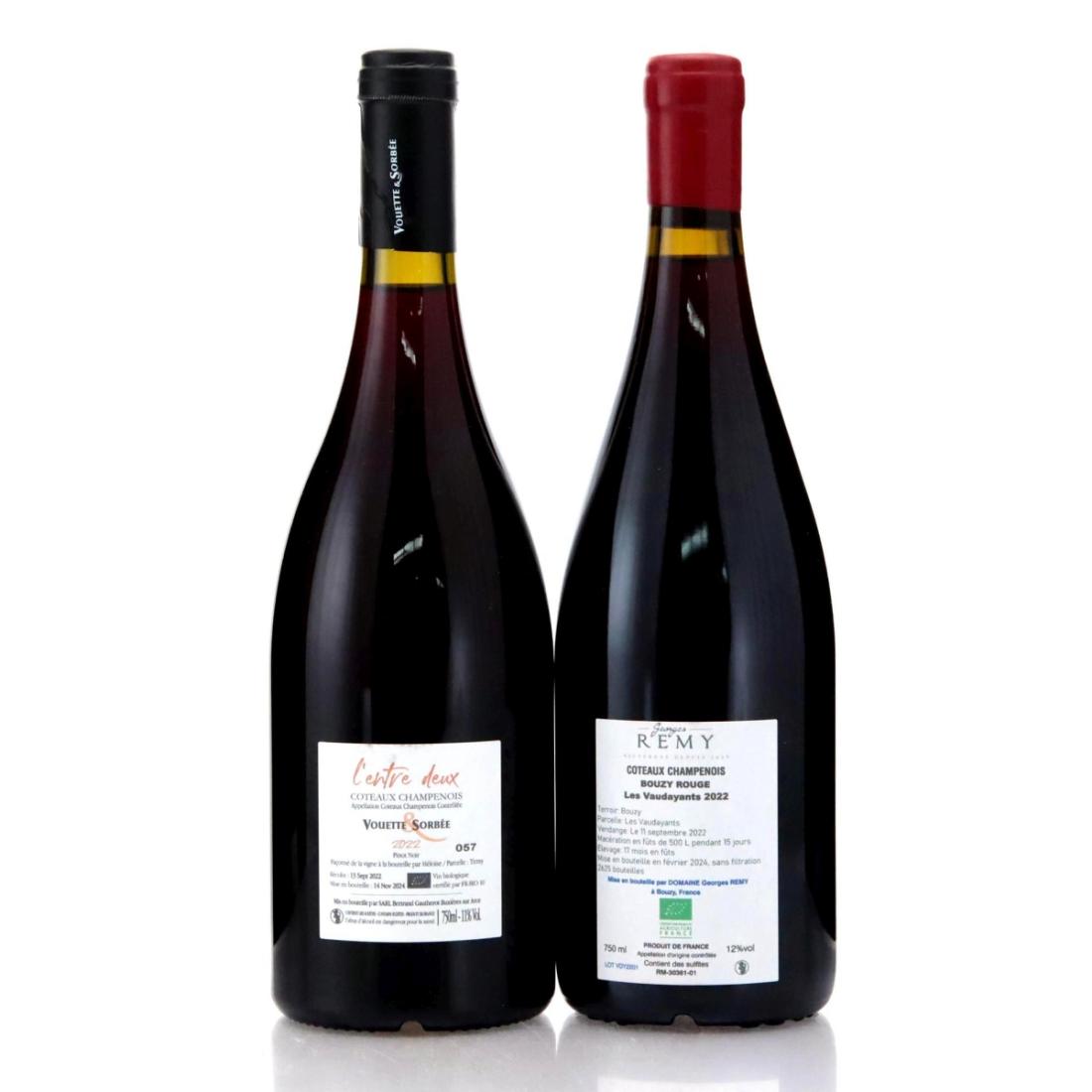 Image for Assorted 2022 Coteaux Champenois x 2