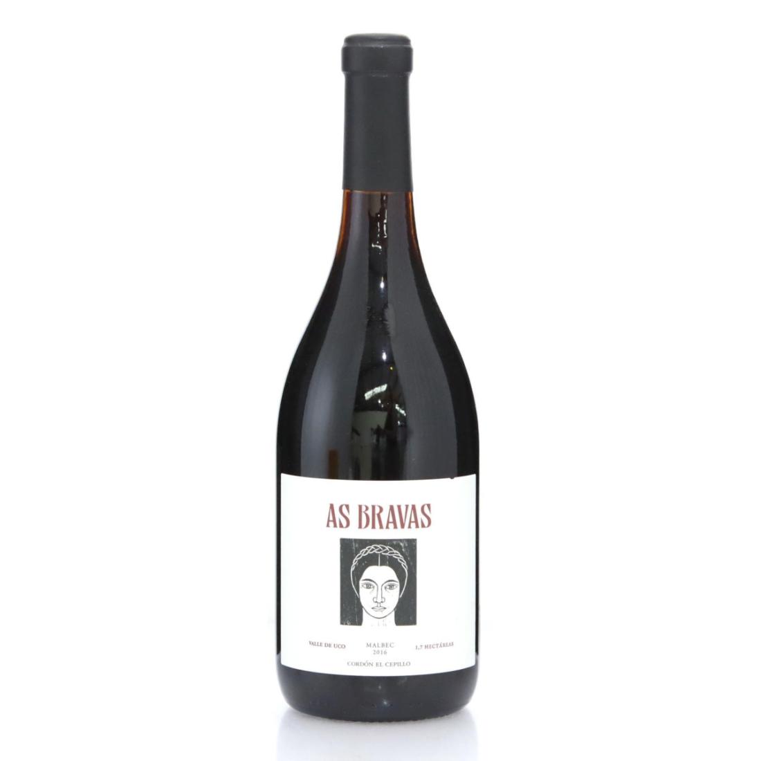 Image for As Bravas Malbec 2016 Cordón El Cepillo