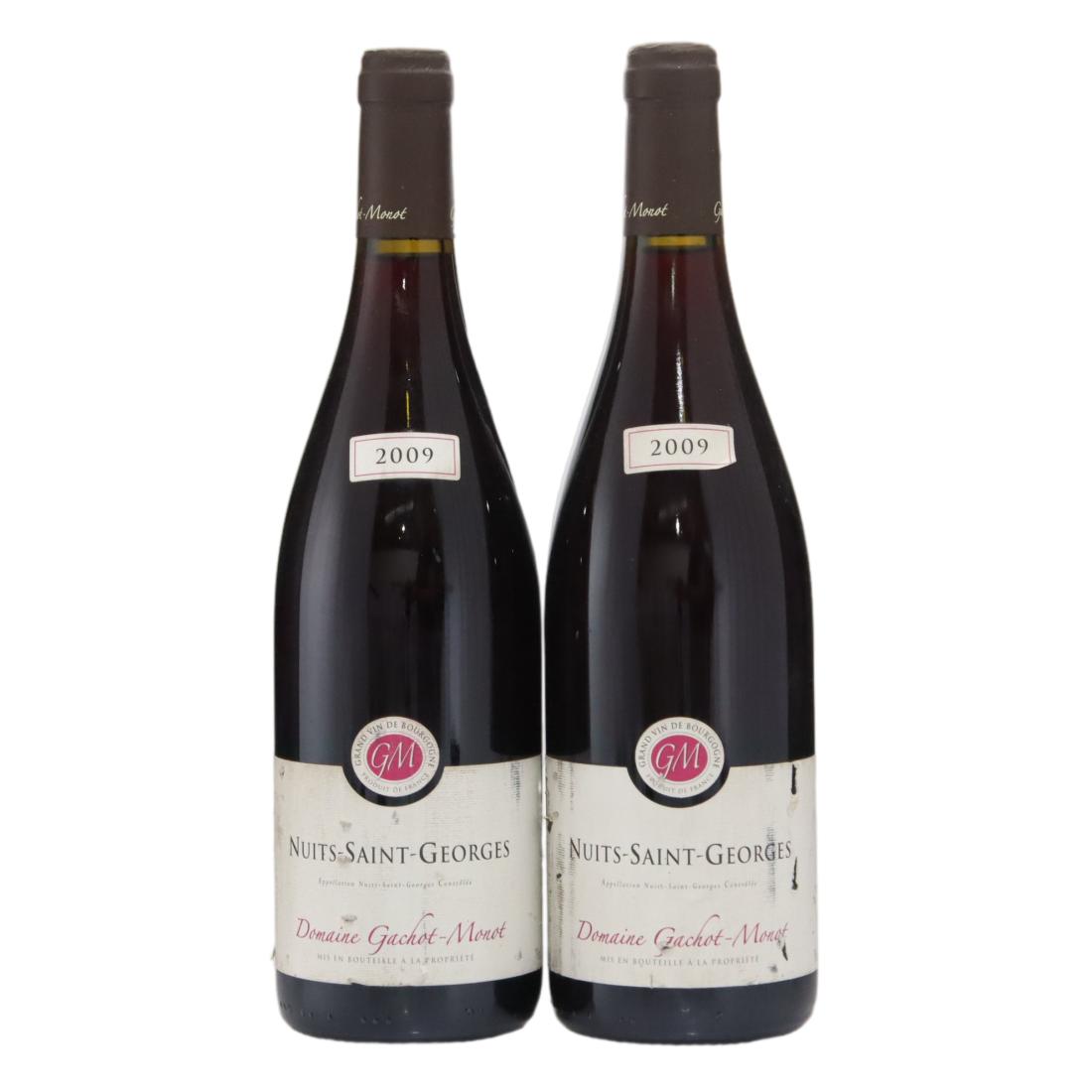 Domaine Gachot-Monot 2009 x 2