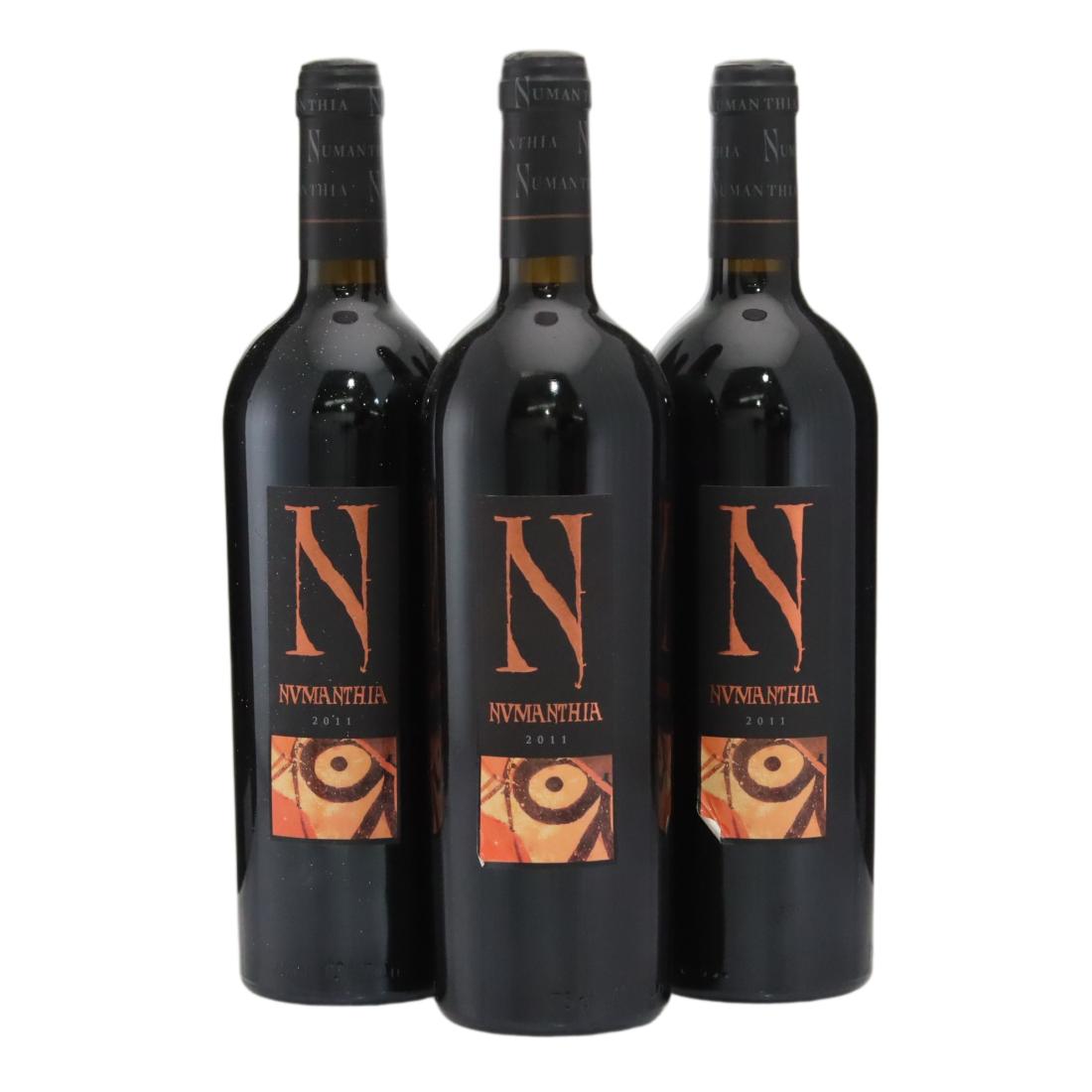 Bodega Numanthia 2011 x 3
