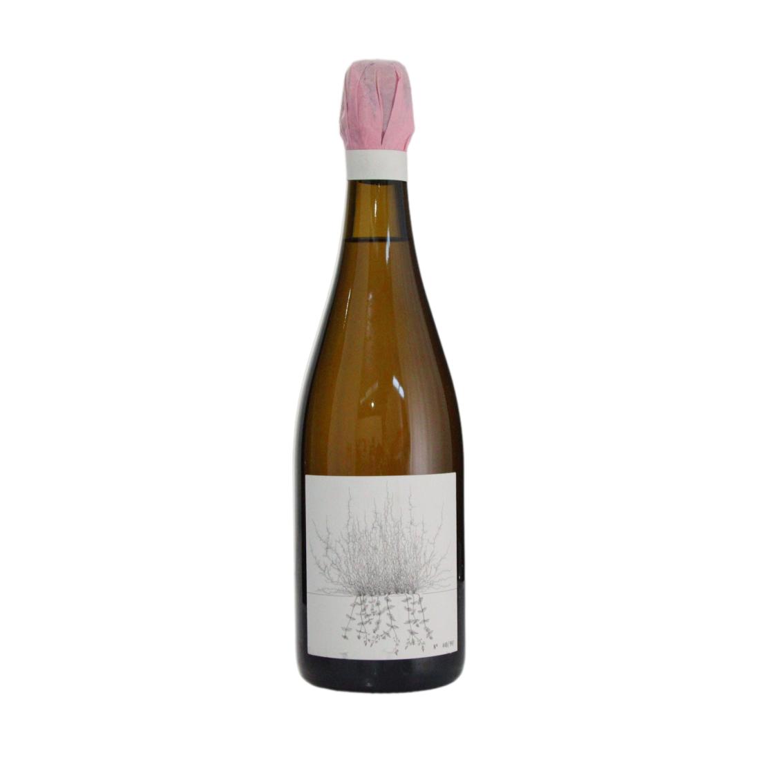 Johannes Aufricht Blanc de Blanc 2021