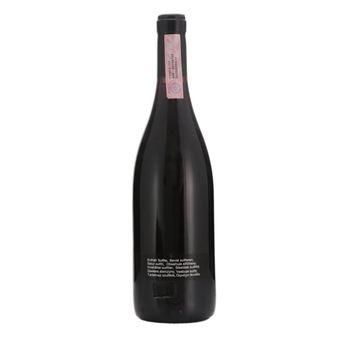 Gaja 2007