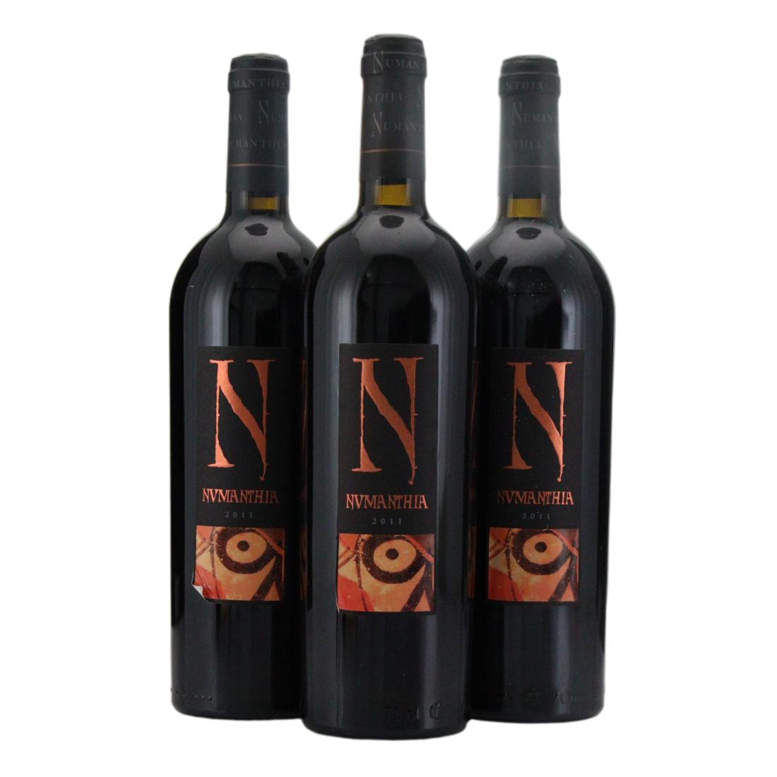 Bodega Numanthia 2011 x 3
