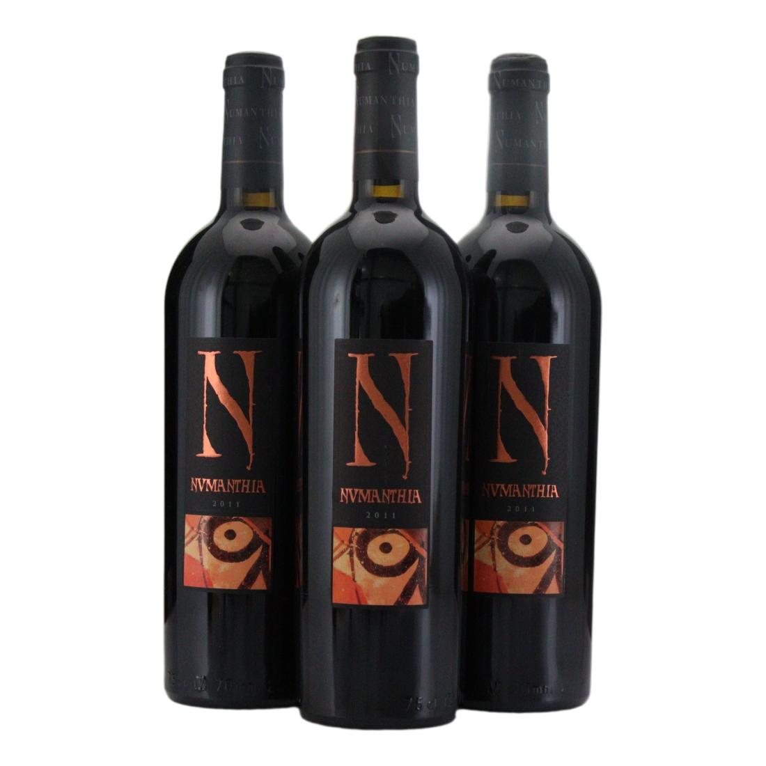 Bodega Numanthia 2011 x 3