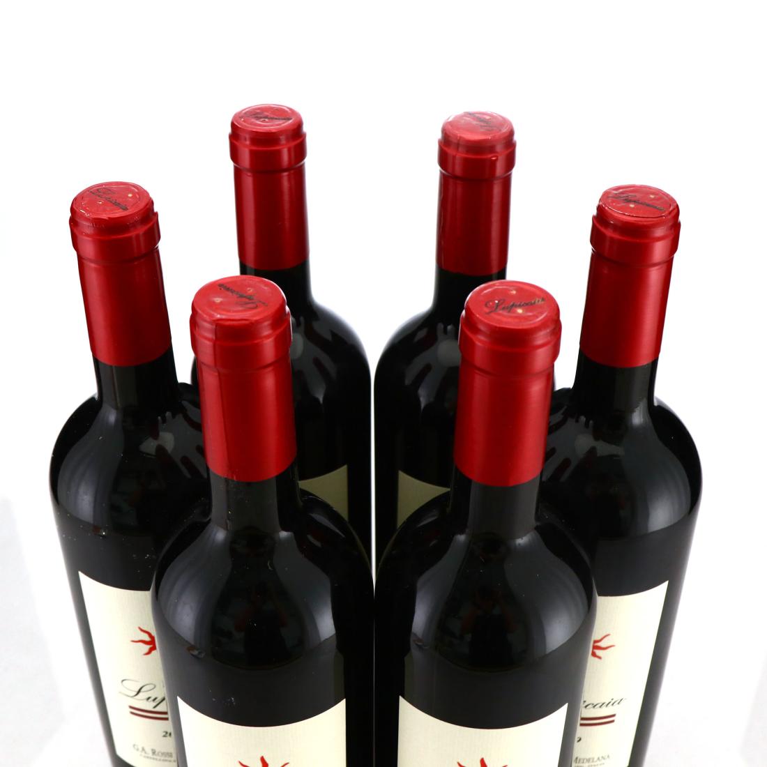 Image for Castello del Terriccio Lupicaia 2009 Tuscany 6x75cl / OWC