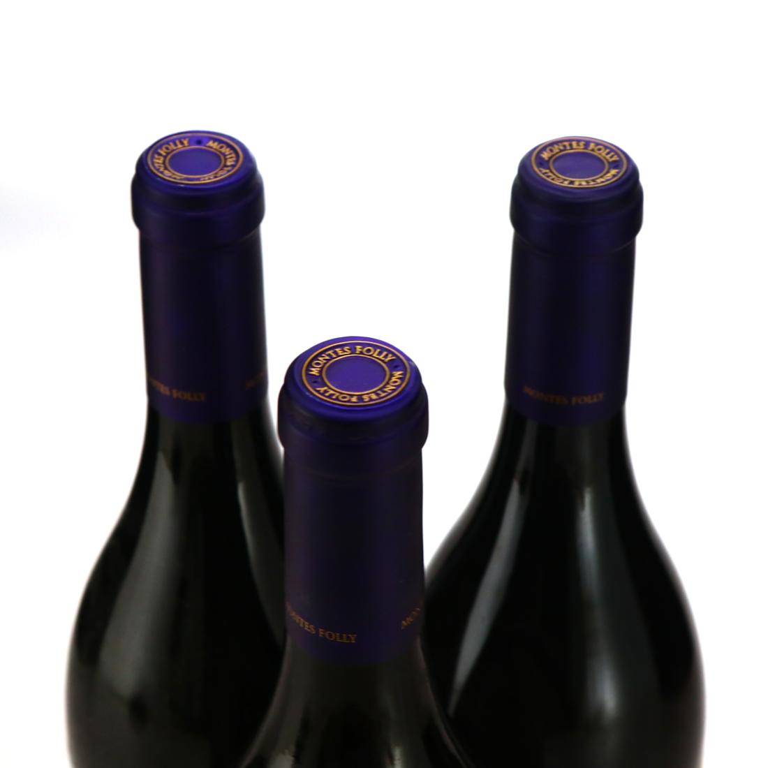 Image for Montes Folly Syrah 2015 Colchagua