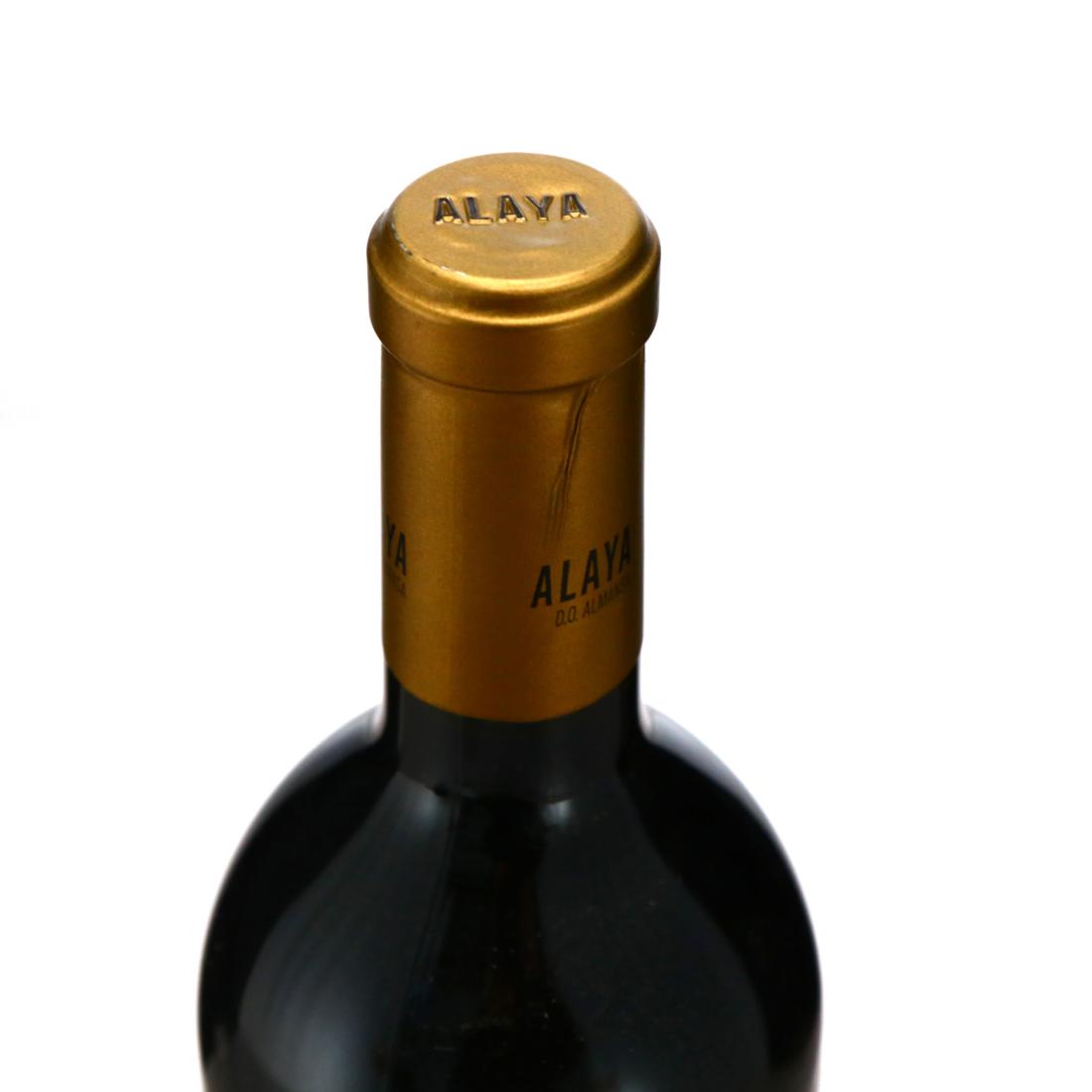 Image for Alaya Tierra Garnacha Tintorera 2016 Almansa