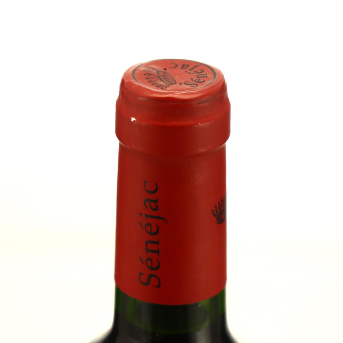 Image for Ch. Senejac 2008 Haut-Medoc