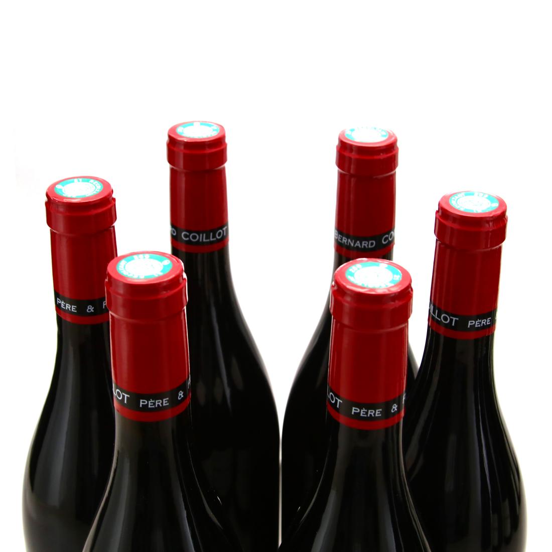 Image for Dom. Coillot Vieilles Vignes 2017 Gevrey-Chambertin