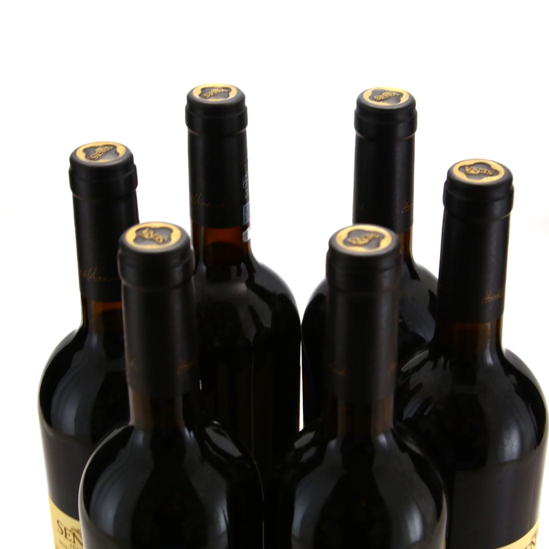 Image for Mondavi & Chadwick Sena 2017 Aconcagua