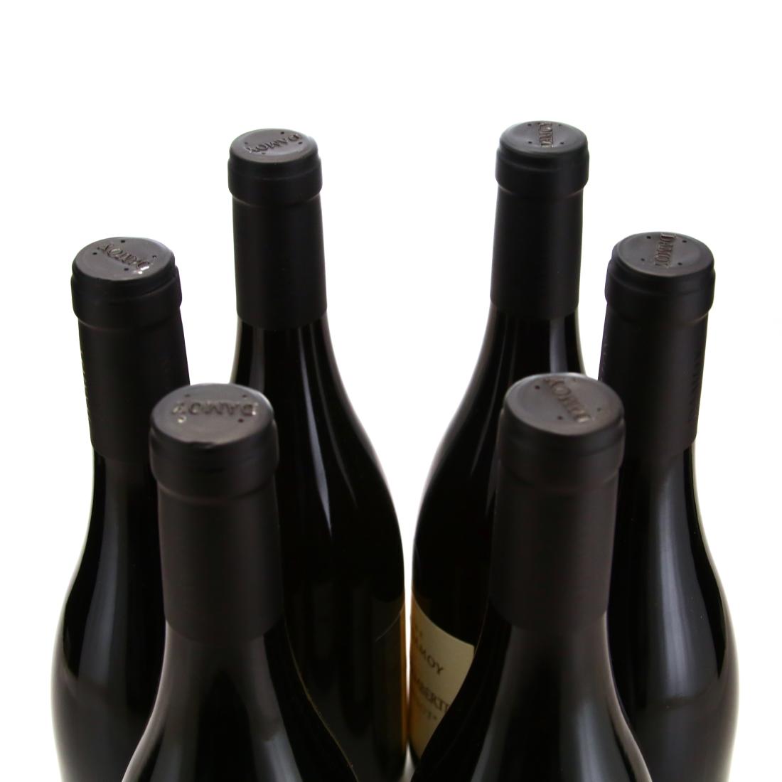 Image for Domaine Pierre Damoy Clos Tamisot 2017 x 6