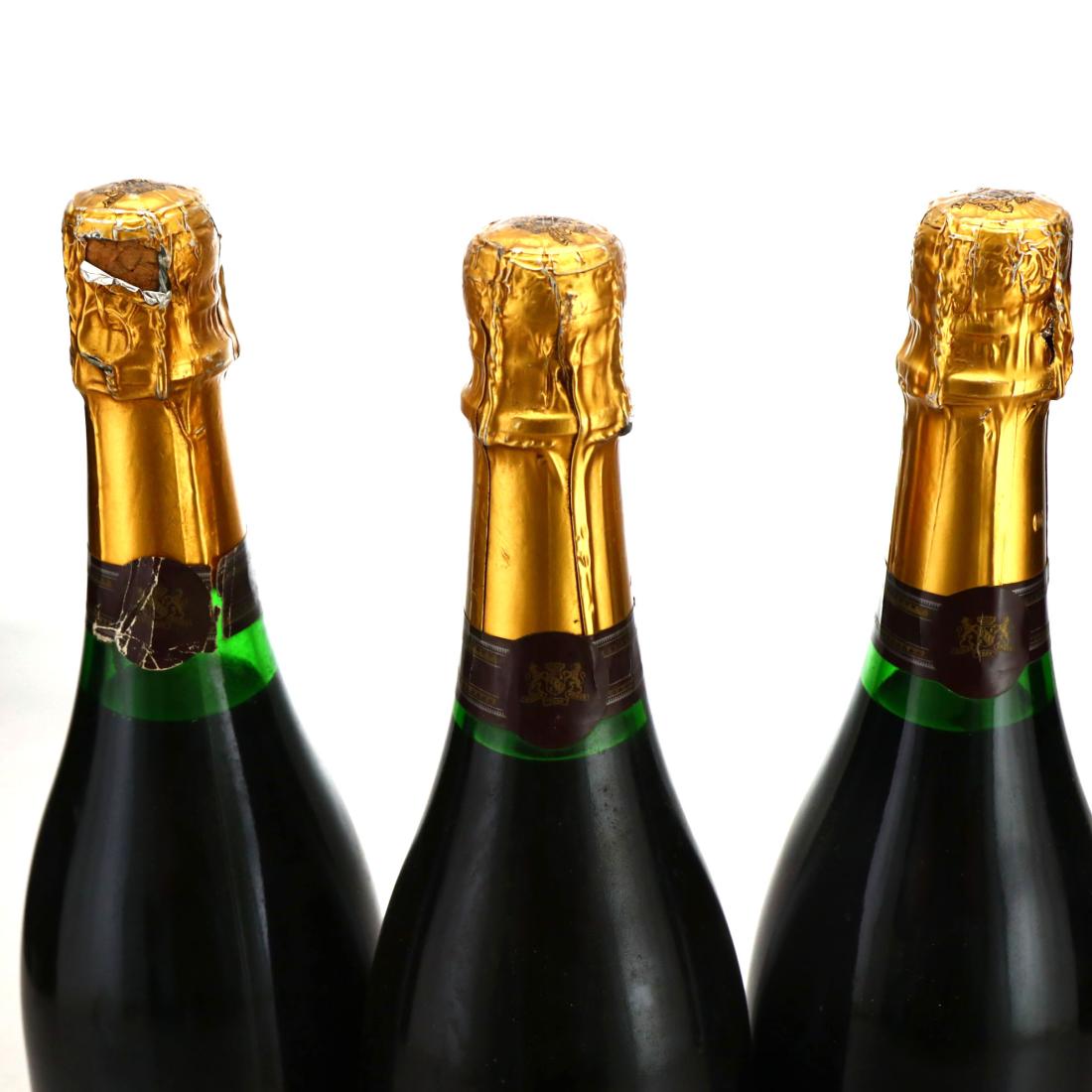 Image for Seppelt Show Dry Sparkling Shiraz 1987 Victoria