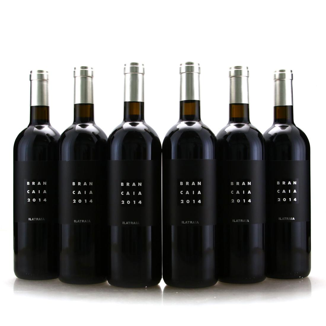 Image for Brancaia Ilatraia 2014 Tuscany