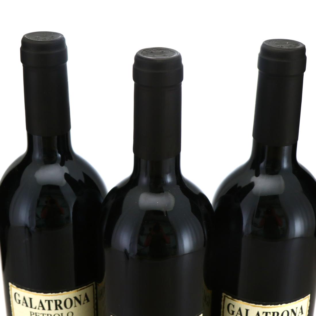 Image for Petrolo Galatrona Merlot 2012 Tuscany